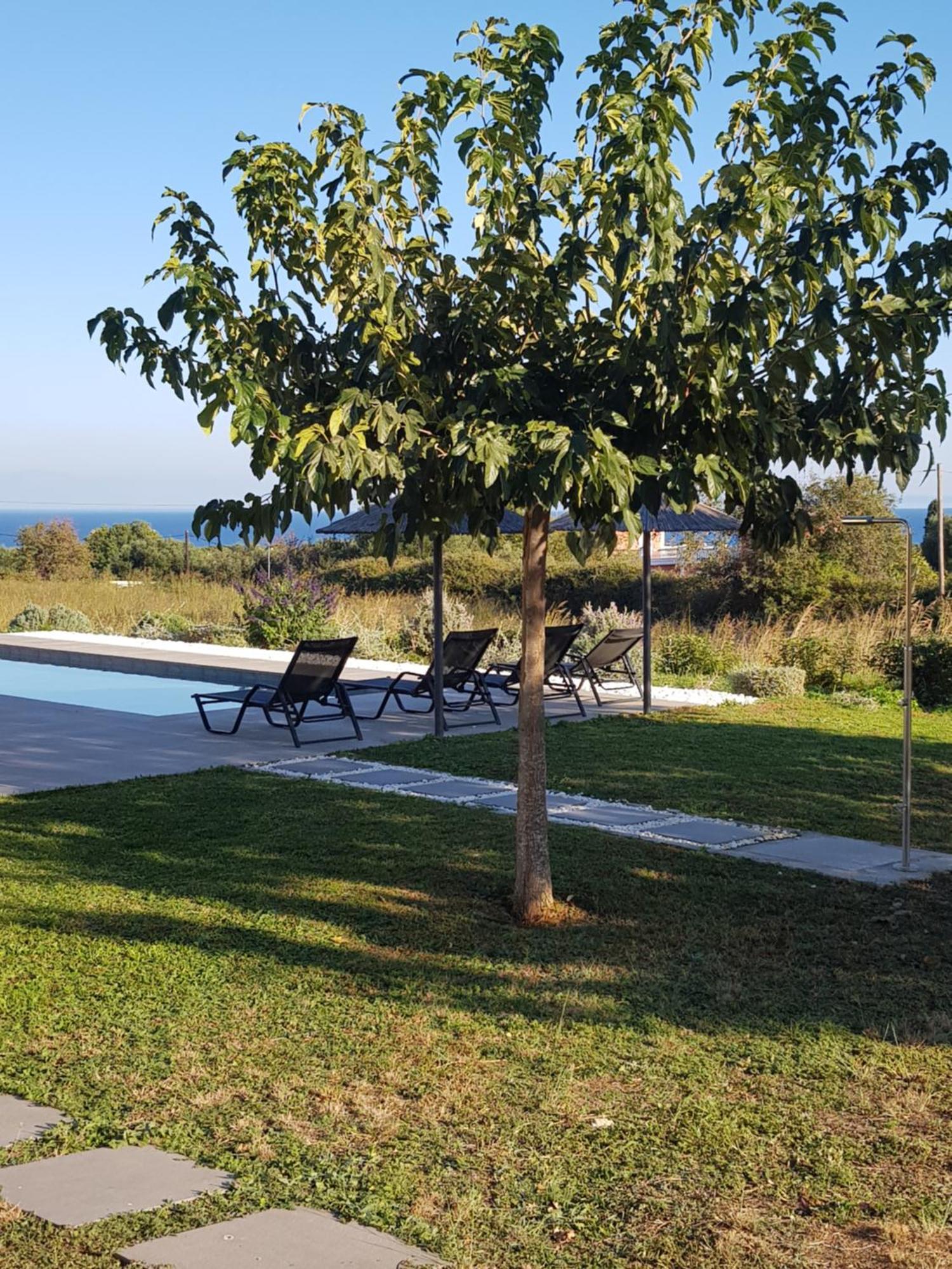 Alberi - Izla Homes Skala  Esterno foto