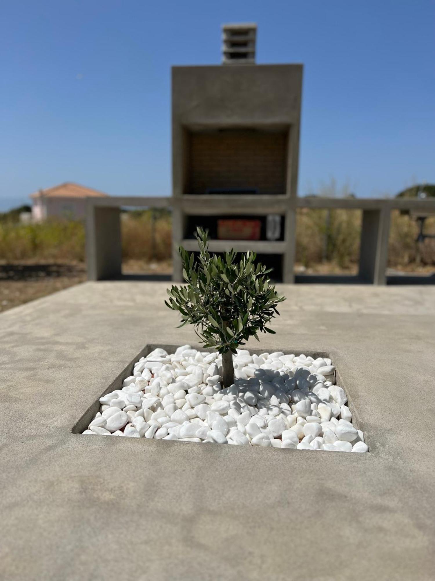 Alberi - Izla Homes Skala  Esterno foto